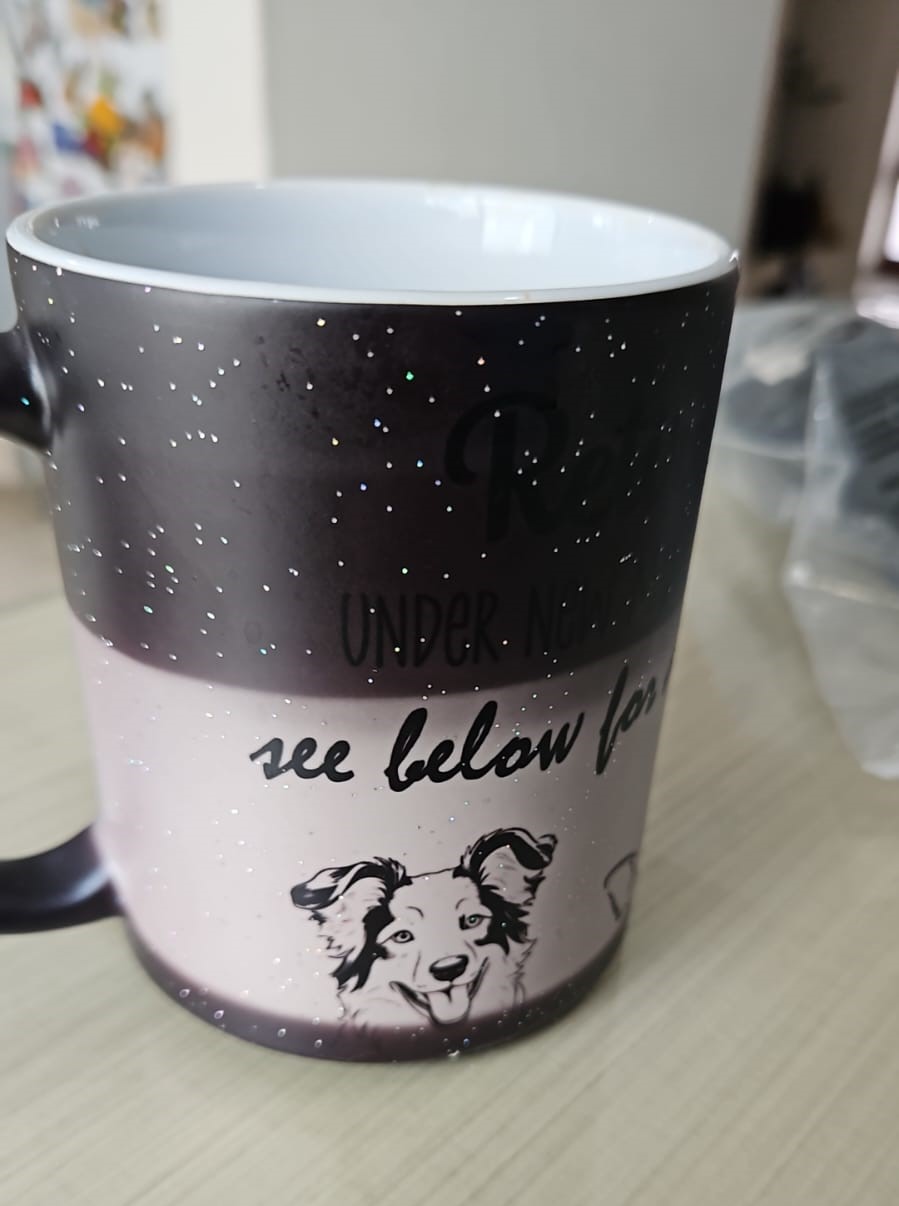 WhatsApp Image 2024-06-24 at 11.31.40 AM.jpeg